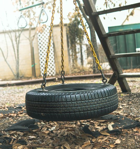 Direct Lenders Tire Swing