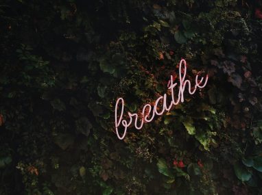 tim-goedhart-vnpTRdmtQ30-unsplash