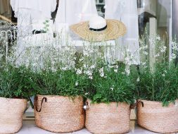 Spring Flowers Direct Lenders Spring Flowers
