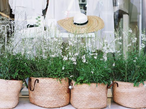 Spring Flowers Direct Lenders Spring Flowers